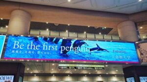 【ファーストペンギン】失敗を恐れず、挑戦することも恐れない