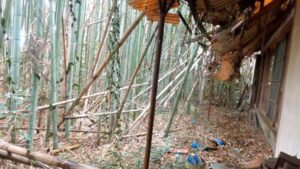 【土地建物差し上げます企画】後日「ザーマスチャンネル」にて