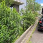 【問題は連れて歩け】立ち止まらずその問題を連れて歩くのもあり