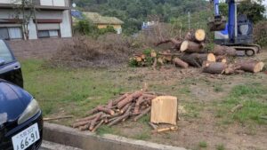 【イベント準備】職人集団が木の伐採をしてくださいました。