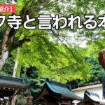 【深イイ話】「バイク寺」となった本瀧寺